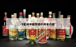5星级中国梦酒的简单介绍