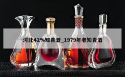 河北42%知青酒_1979年老知青酒